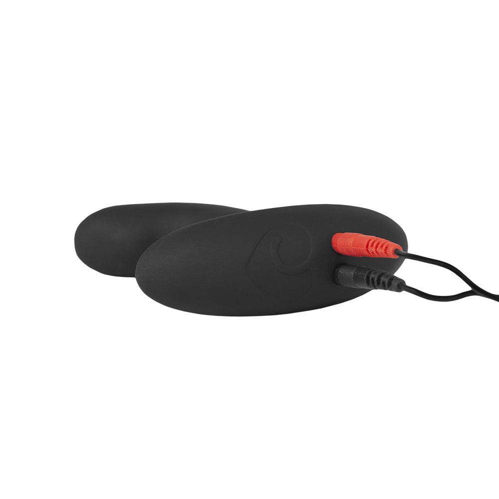 Lovehoney x ElectraStim Electro Booty Buddy Prostate Massager